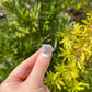 Pink Blossom Ring